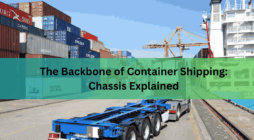 The Backbone of Container Shipping