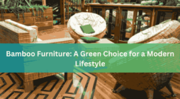 Bamboo Furniture A Green Choice for a Modern Lifestyle