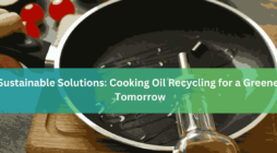 Sustainable Solutions Cooking Oil Recycling for a Greener Tomorrow