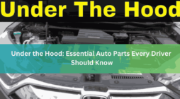 Under the Hood Essential Auto Parts Every Driver Should Know